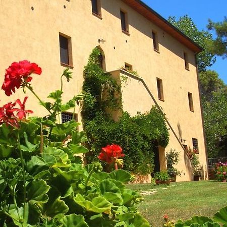 Agriturismo Lupo Vecchio Γκροσέτο Εξωτερικό φωτογραφία