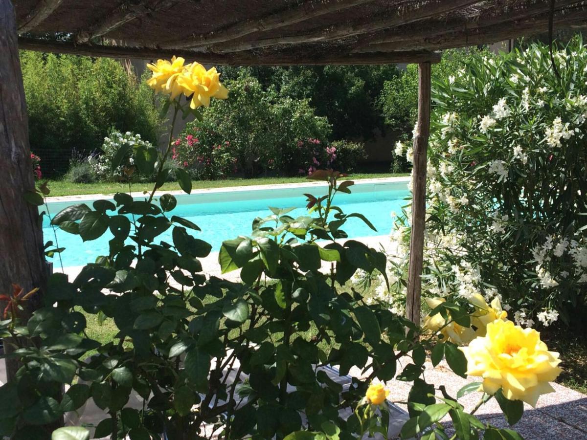 Agriturismo Lupo Vecchio Γκροσέτο Εξωτερικό φωτογραφία