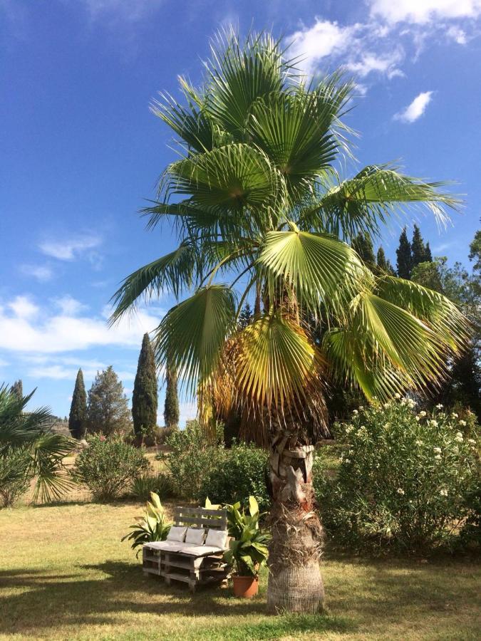 Agriturismo Lupo Vecchio Γκροσέτο Εξωτερικό φωτογραφία