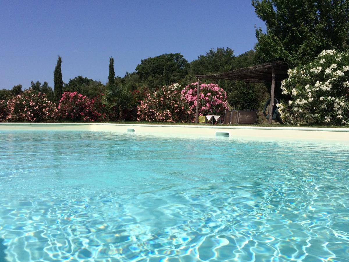 Agriturismo Lupo Vecchio Γκροσέτο Εξωτερικό φωτογραφία