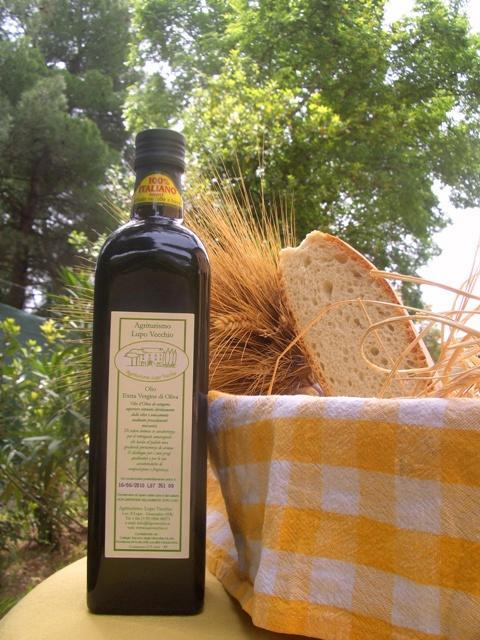 Agriturismo Lupo Vecchio Γκροσέτο Εξωτερικό φωτογραφία