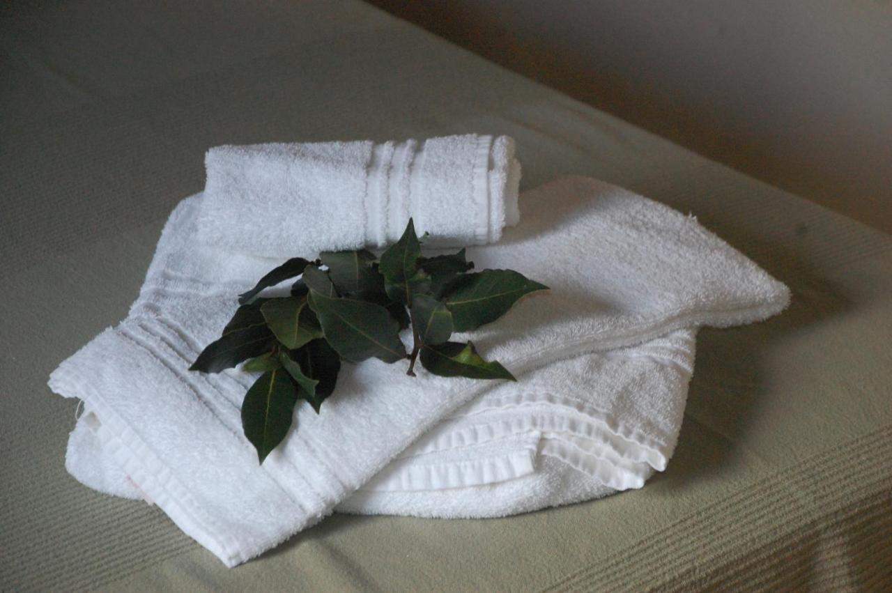 Agriturismo Lupo Vecchio Γκροσέτο Εξωτερικό φωτογραφία